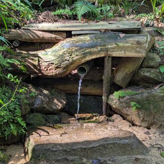 水飲み場
