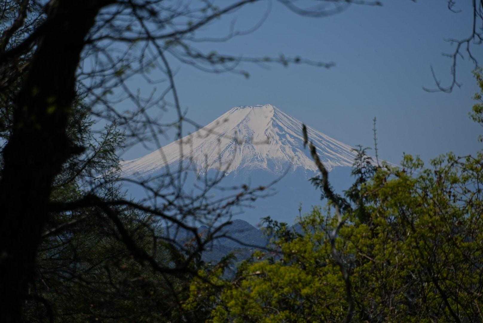 富士山もチラチラ見えてきました。