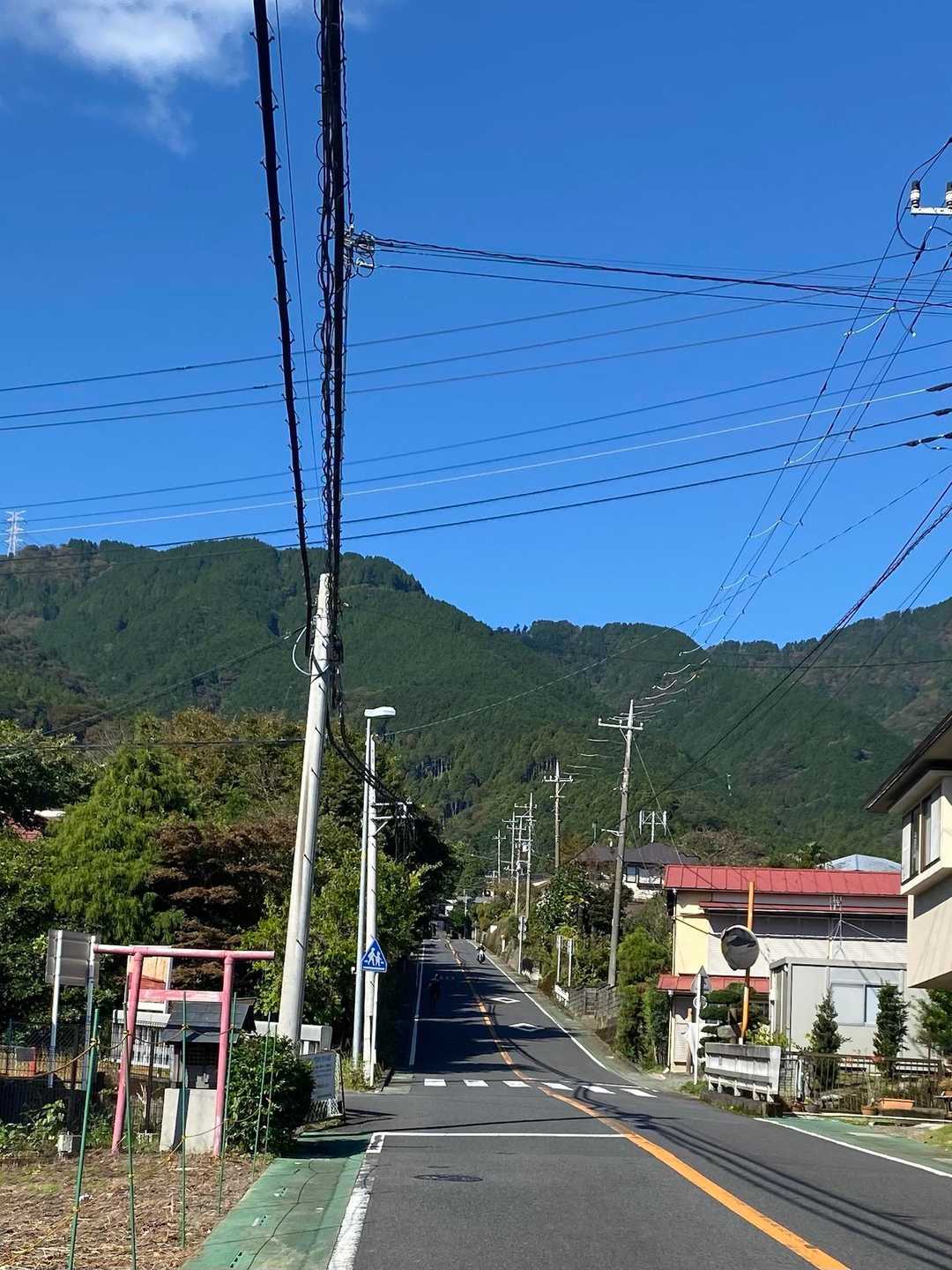 この先の蓑毛バス停までの上りが最初の難関。
