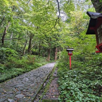 雨 やみました😊
お邪魔しました🙏

最後まで たくさんの写真を見てくださってありがとうございました🙇‍♀️

今度は山頂まで登るゾ〜😂
