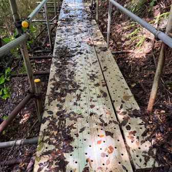 雨が多いのもあり、常に日陰になっているようなところはびちょびちょのぐずぐず
この金属板の上もびちょびちょで、手すりを掴んでないと今にも滑りそうでした