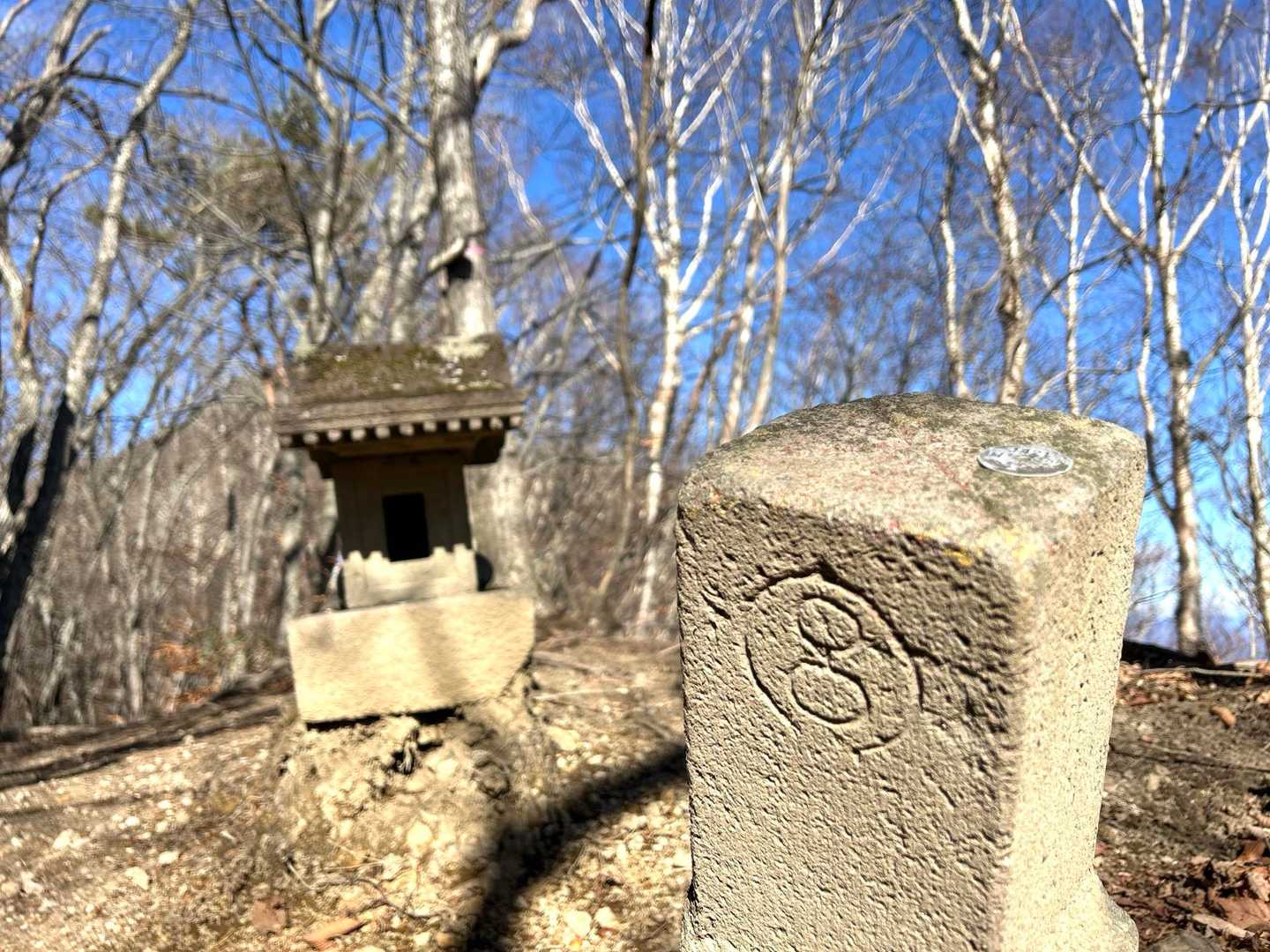 丸宮⚠️三角点と祠
