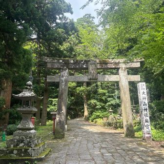 日本最大級