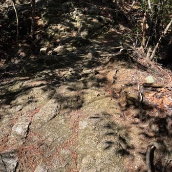 だいぶ下りてきた