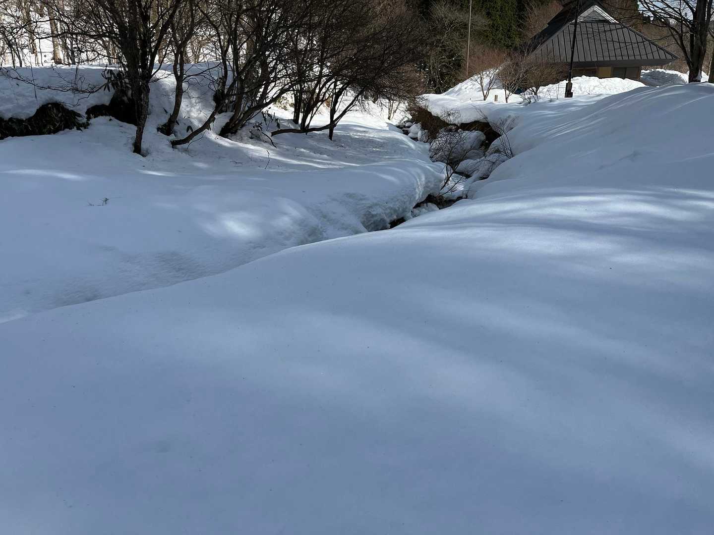 もっふもふ❄️❄️