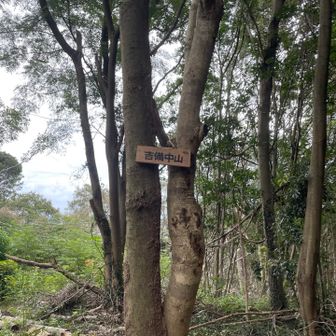 吉備中山山頂