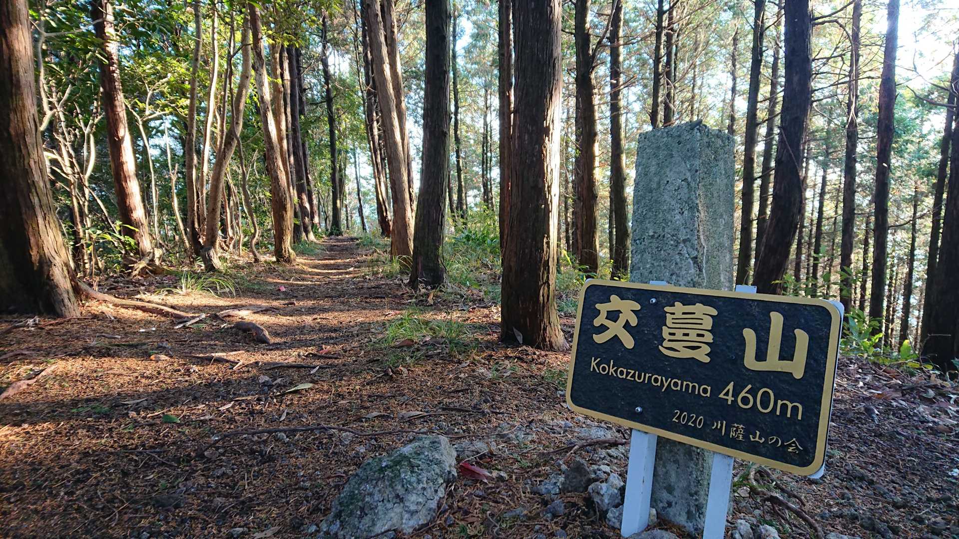 キレイな山でした
