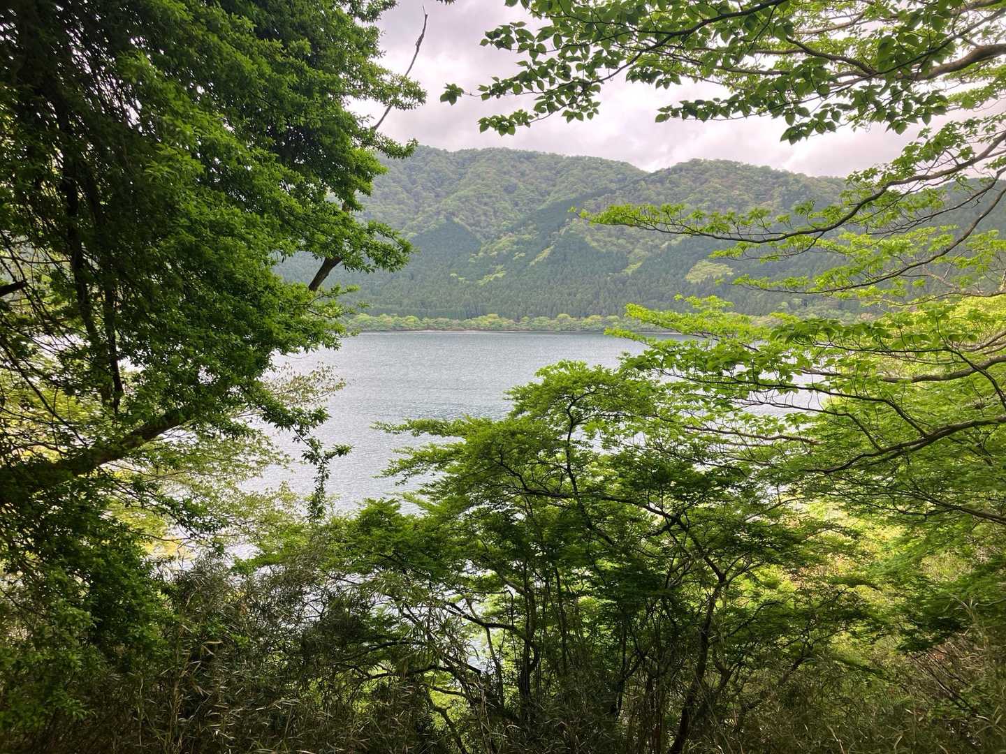 足の甲と聞き間違えが多いと嘆く
芦ノ湖さん