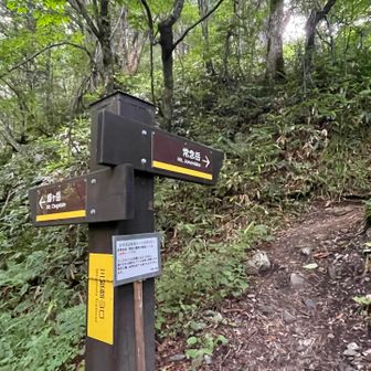 ようやく降りてきました‼️水を分けていただいた方、ありがとうございました‼️