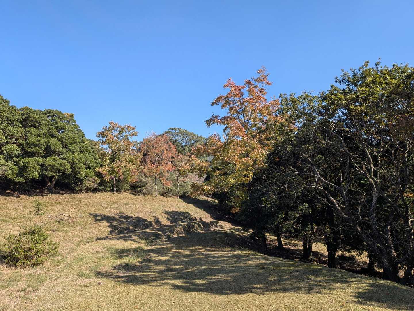 展望台からの景色