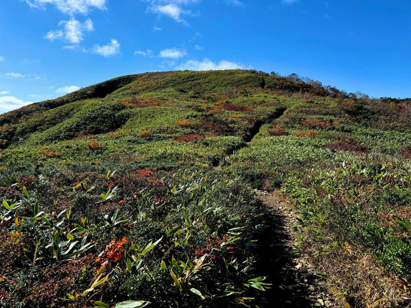 赤兎山登山口-小原峠-苅安山-奥大長谷の頭-大長山-赤兎山 周回コースの写真