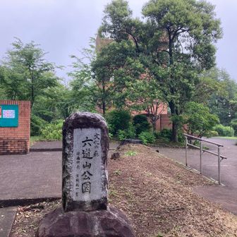 六道山登頂、ここも歩いて気付いたぐらい。