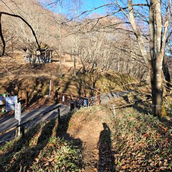 突撃しそうになったゲート