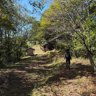 そろそろ山頂です