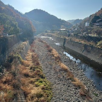 良き風景です✨✨
のどかだわ