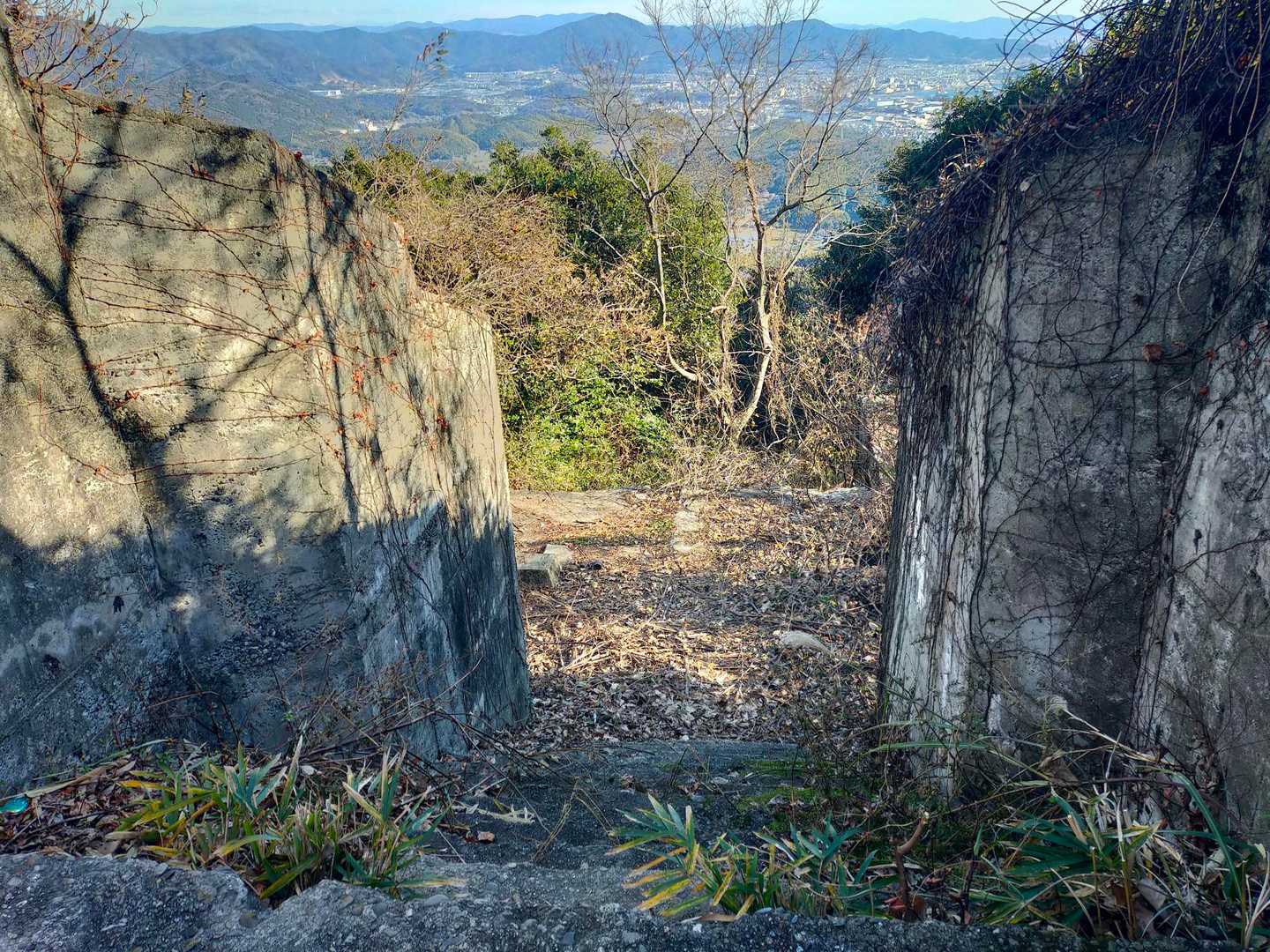 三ヶ根山-三ヶ根山最高点 往復コースの写真