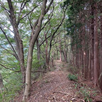 戻ります。