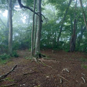 山頂に看板無