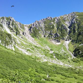 otoo39　すーさん