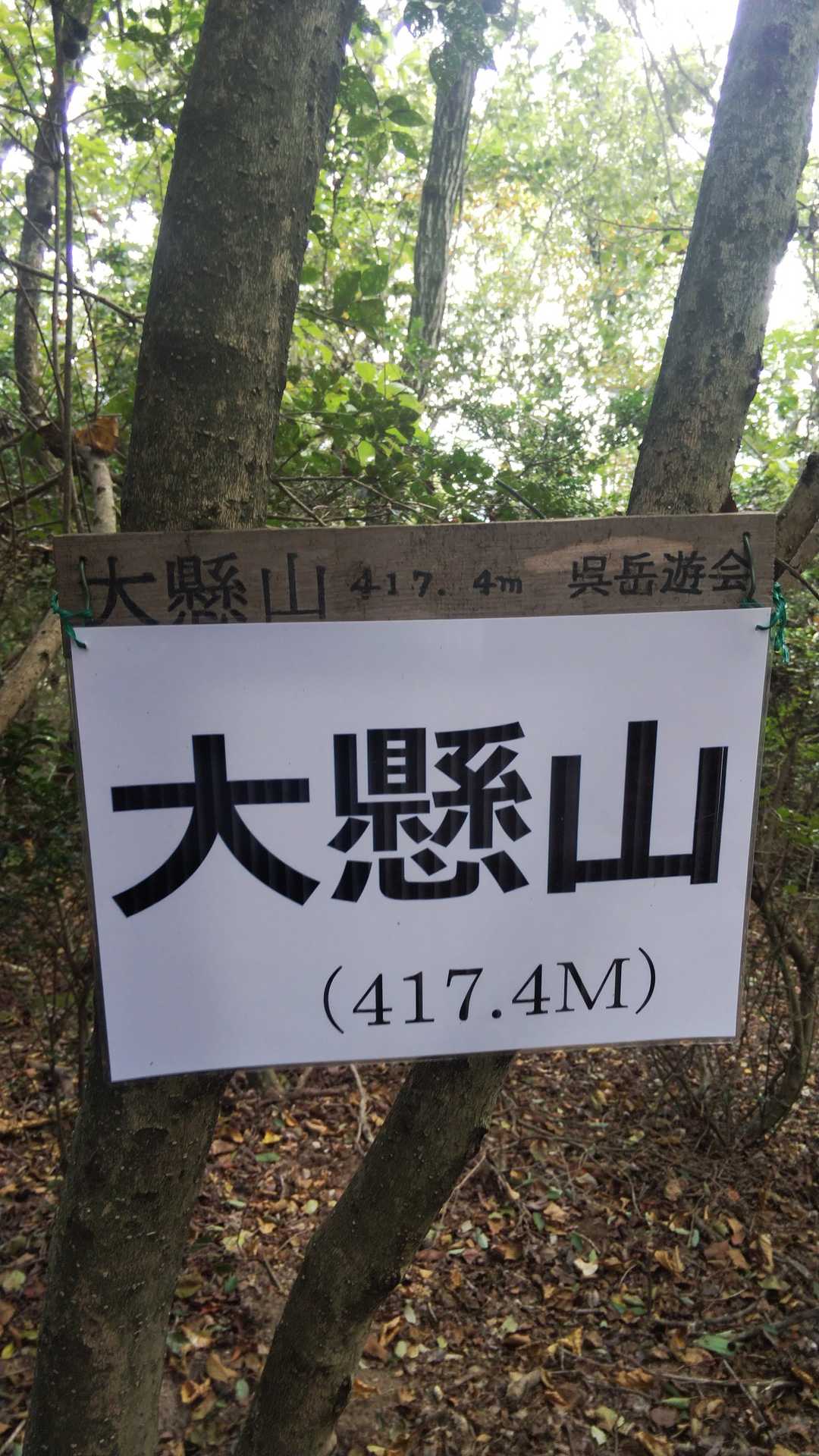 今日は、とりあえず大懸山のみ。