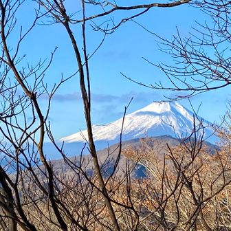 大界木山山頂からの富士山🗻