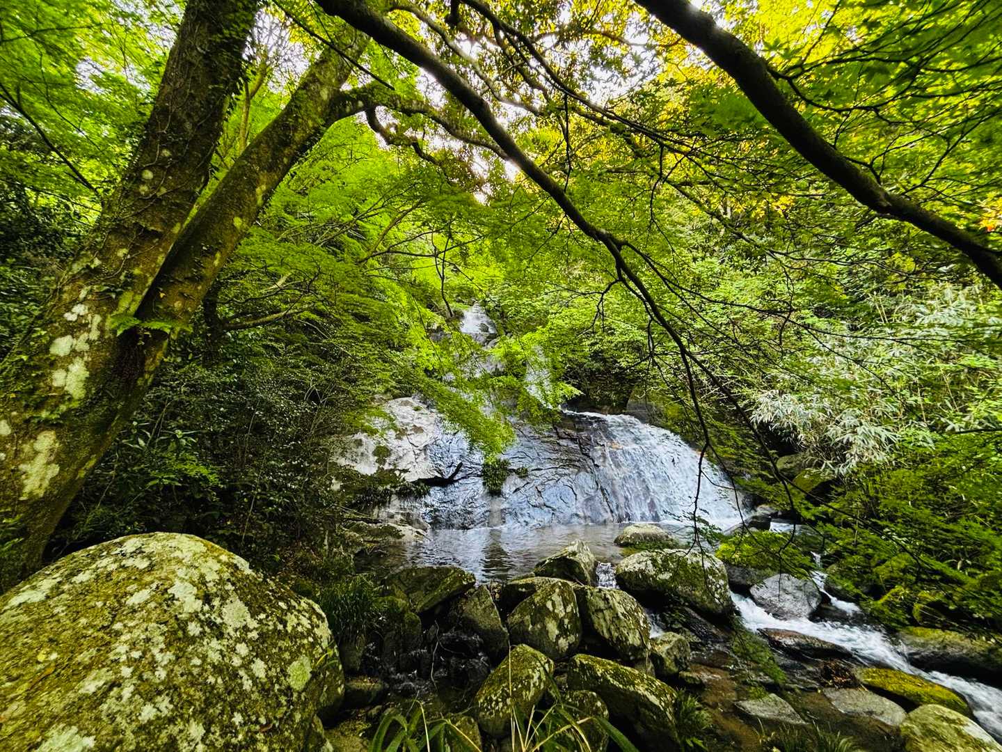 加茂ゆらりんこ橋登山口-加茂神社-真名子登山口-二丈岳 往復コースの写真