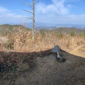 各務原権現山の東屋まで戻り