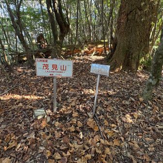 で、茂見山に着きました。🙌