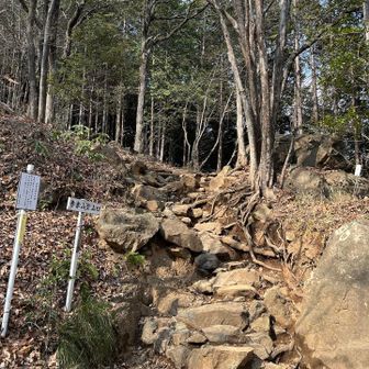 低山とはいえ、のんびりハイキングな道ではなかった😂