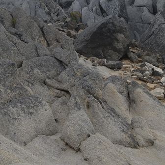 おかもとひかる