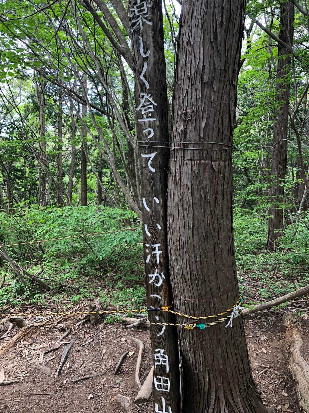 角田山は標語がいっぱい