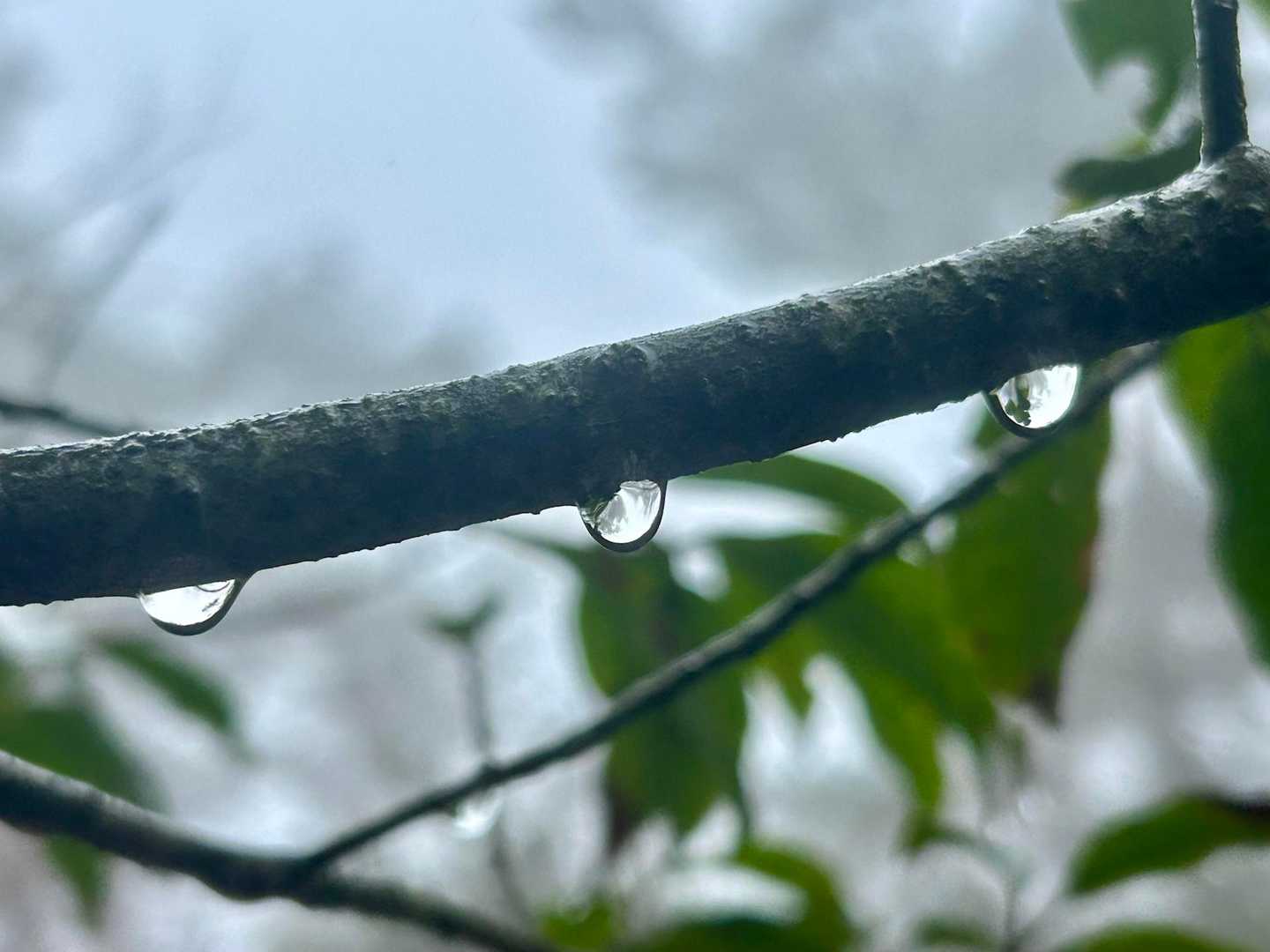 当然しずくは
撮り放題(o´罒`o)