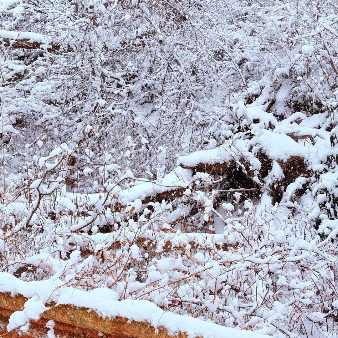 御岩山 往復コースの写真