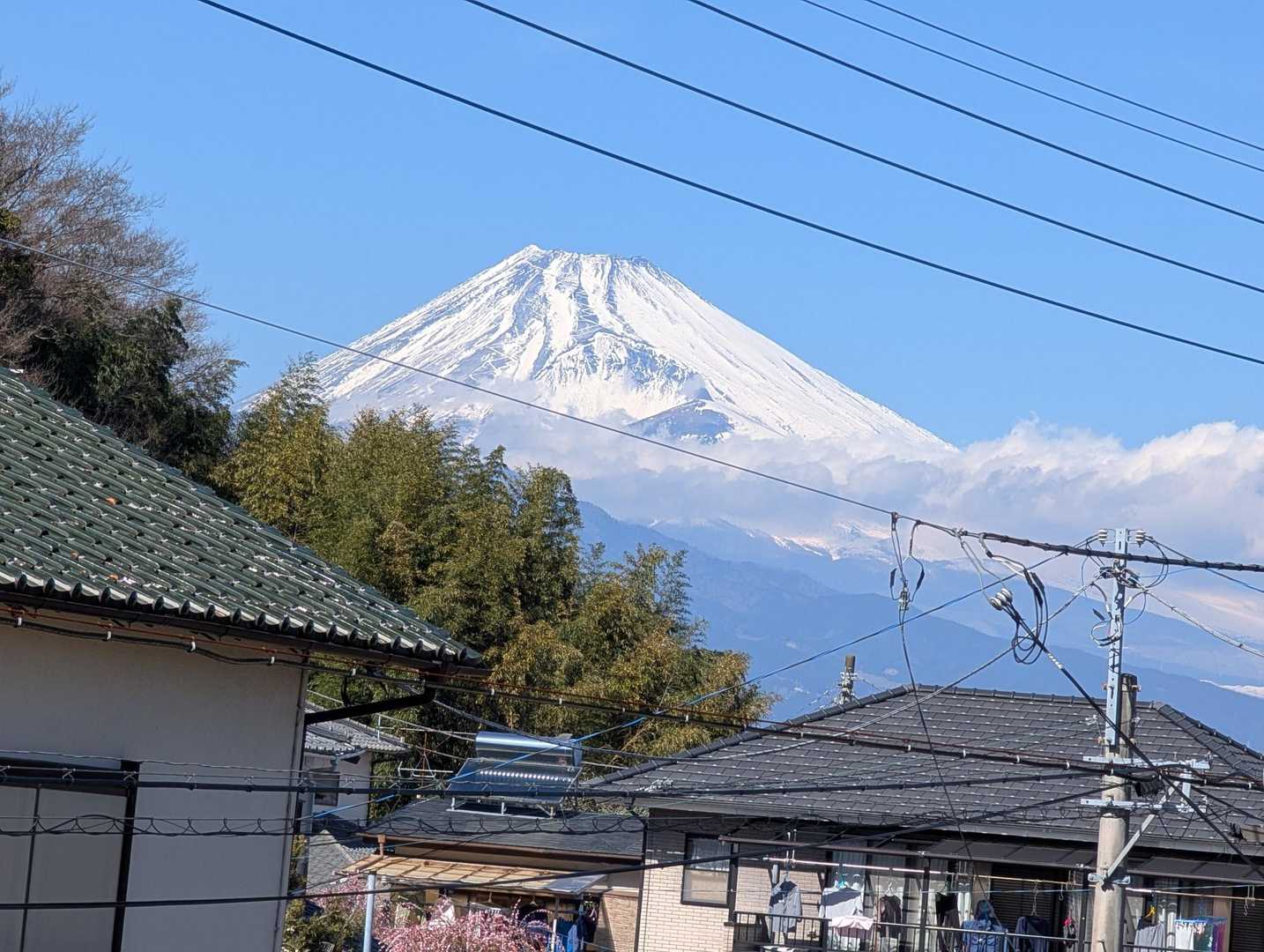 多比バス停-多比口峠-大平山-大嵐山-茶臼山-原木駅 縦走コースの写真