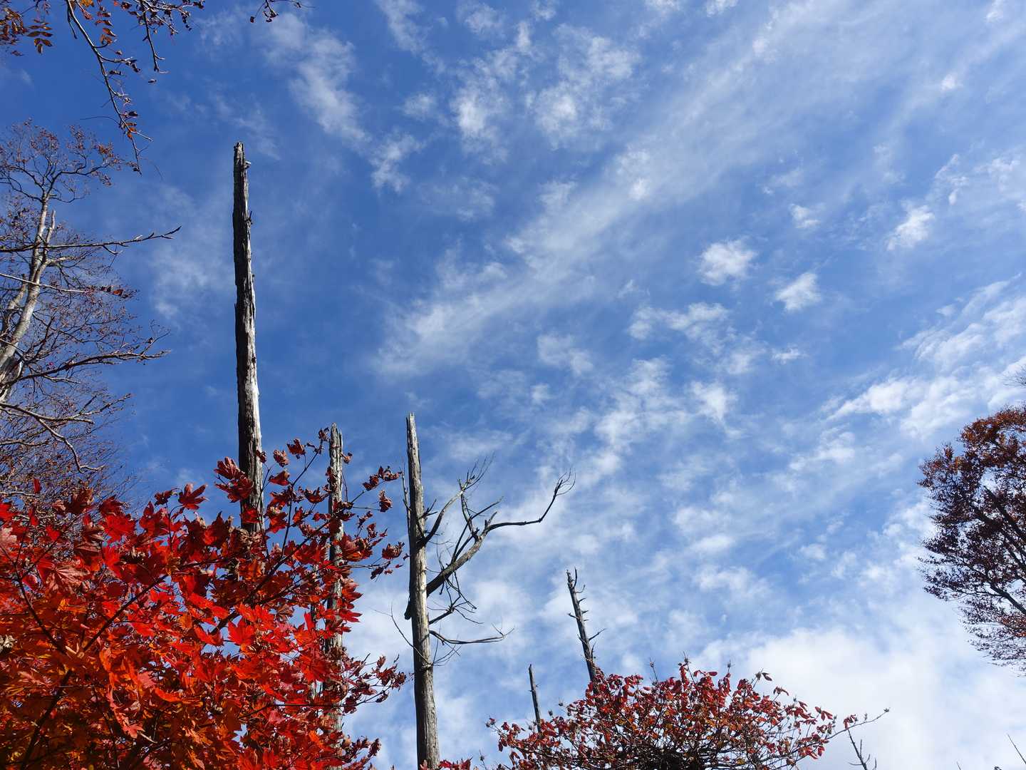 峰越峠-江浪峠-三国平 往復コースの写真