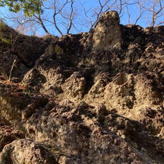 この辺で
公共放送の神からお告げがありまして