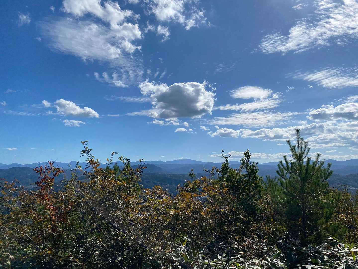 こちらは大万木山方面かなぁ