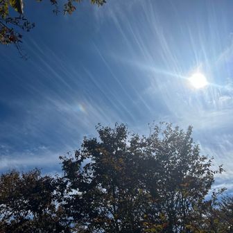 空を見あげると、わずかに幻日(中央左)が見えてます