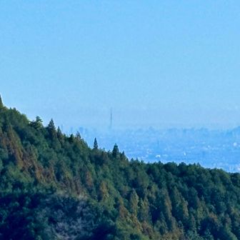 ここからもスカイツリーが見えました👀
わかるかな❓