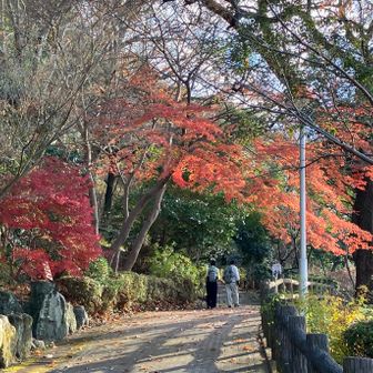 次は神津嶽まで登りたい。