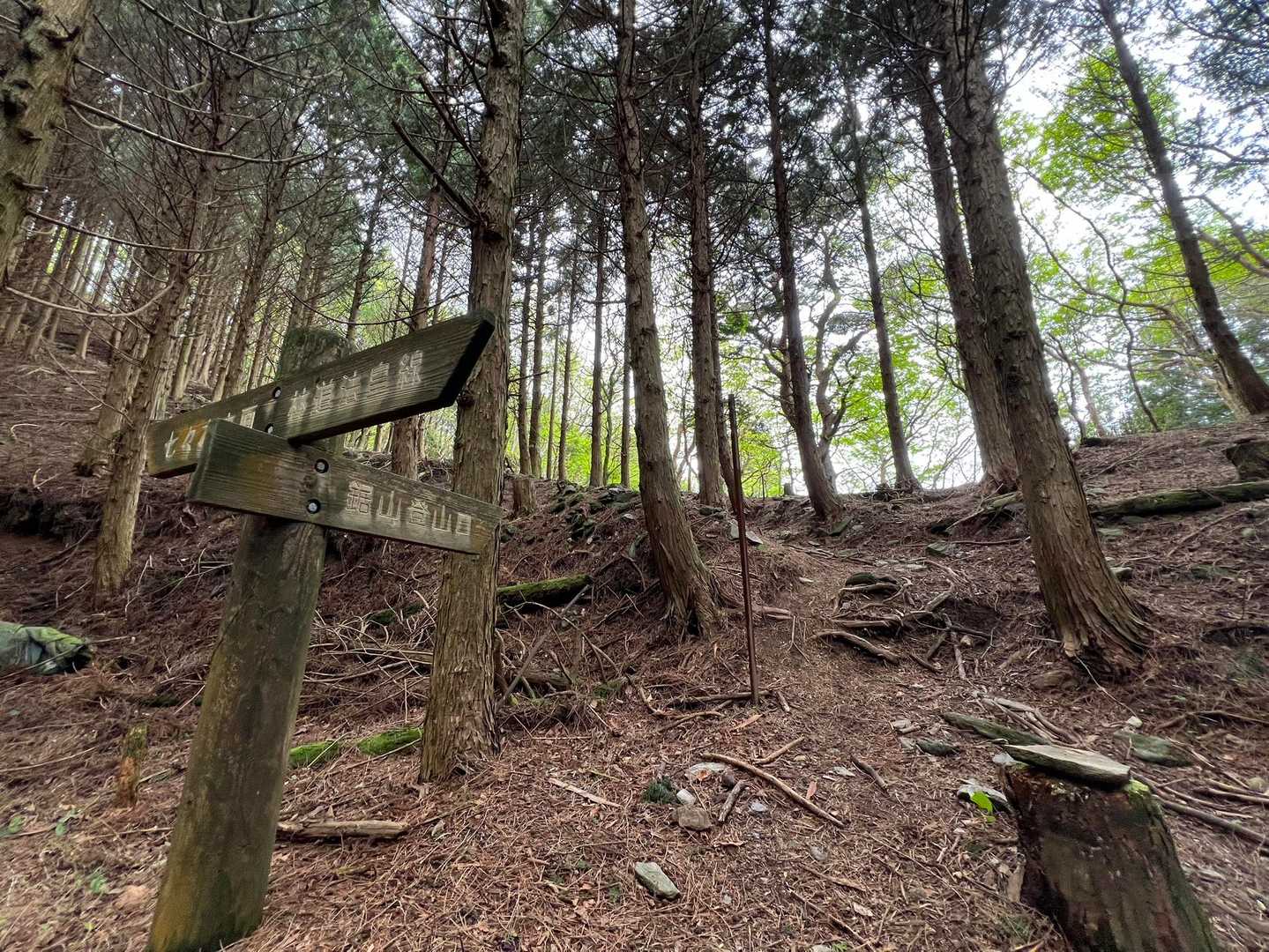 鋸山-七々木山 往復コースの写真