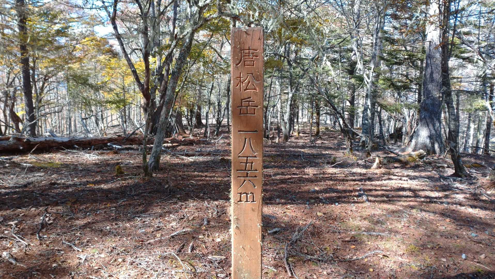 唐松岳山頂❗
特に何も無し(笑)