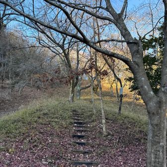 登りやすい。ちょっと飯能の伊豆ヶ岳みたい