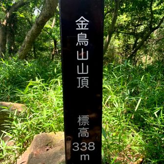 金鳥山
