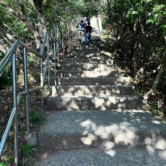 あと何段登るのか（遠い目）