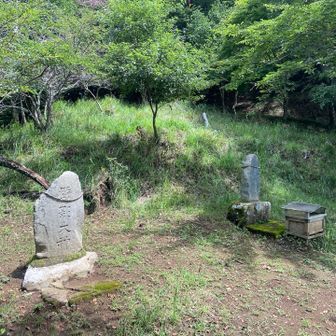 広場