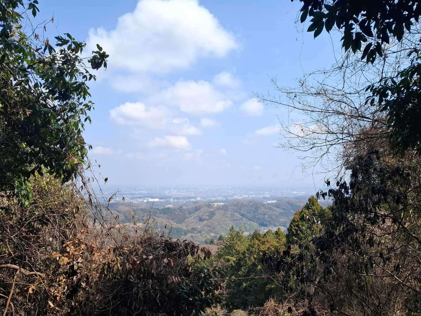 開けた〜
お天気よし