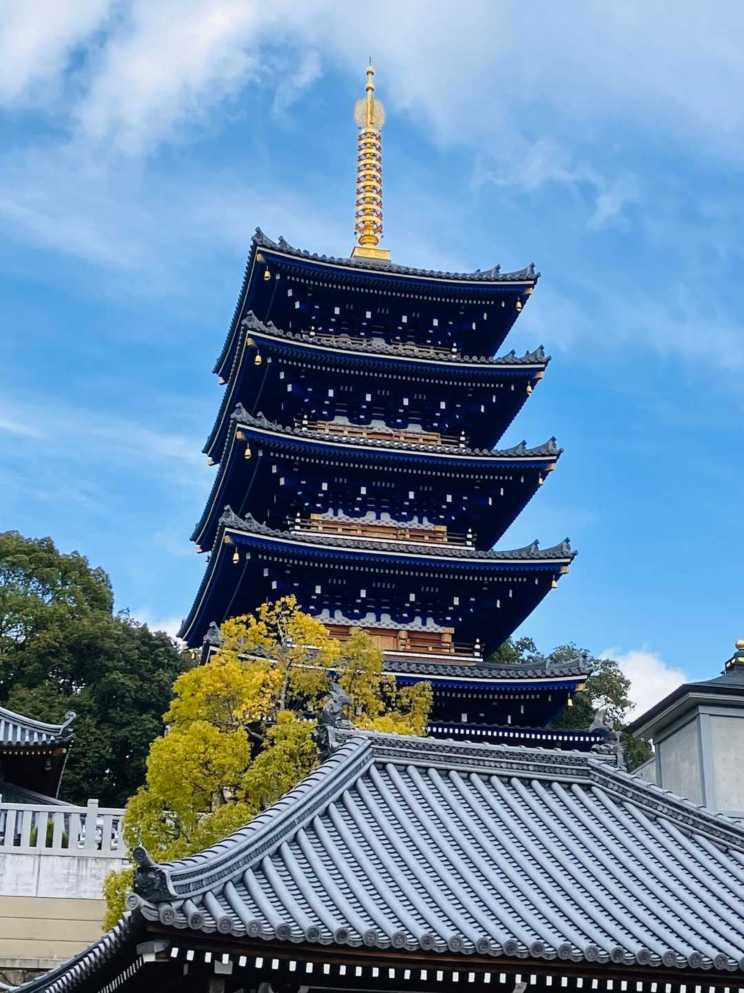 青龍堂　カッコイイ