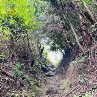 岩屋峠
