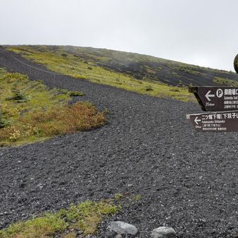 二ツ塚分岐。本道からはずれて左へ。